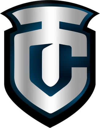 Teena Computers logo